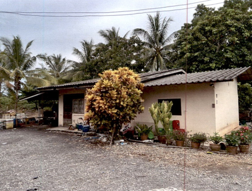 บ้านเดี่ยว สุราษฎร์ธานี เมืองสุราษฎร์ธานี วัดประดู่ 1927800