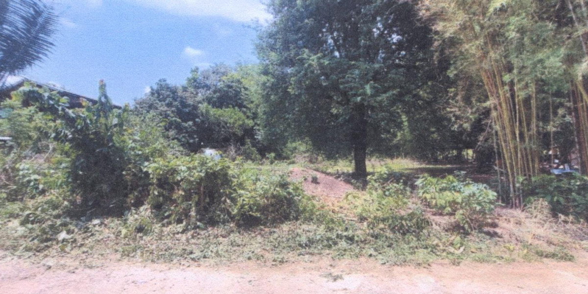 ที่ดินเปล่า น่าน ภูเพียง ฝายแก้ว 243000