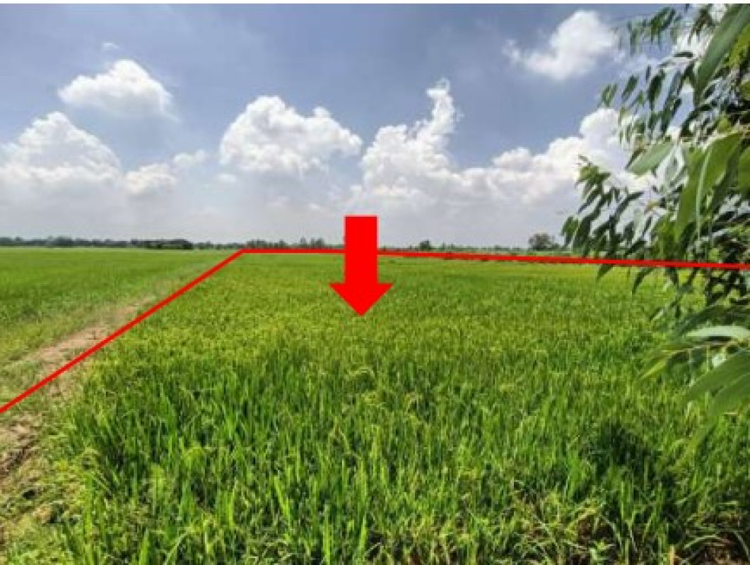 ที่ดินเปล่า พิษณุโลก พรหมพิราม ท่าช้าง 964925