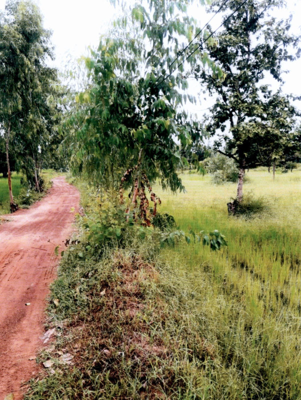 ที่ดินเปล่า อำนาจเจริญ ลืออำนาจ เปือย 322250