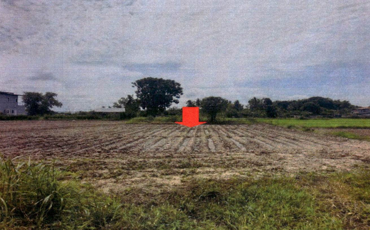 ที่ดินเปล่า อุตรดิตถ์ พิชัย พญาแมน 164600