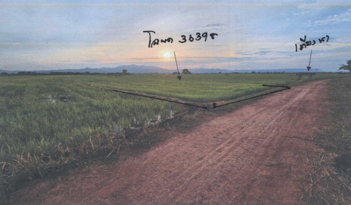 ที่ดินเปล่า พะเยา ดอกคำใต้ ห้วยลาน 391690