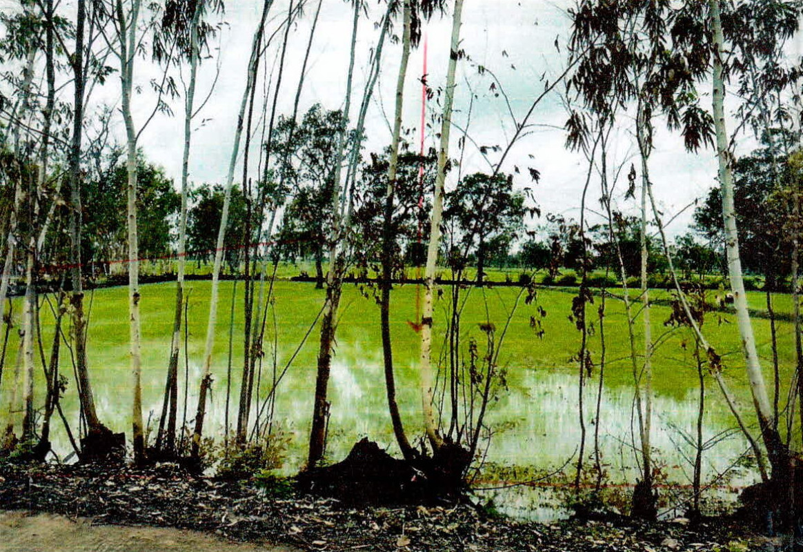 ที่ดินเปล่า ศรีสะเกษ ราษีไศล ดู่ 143066