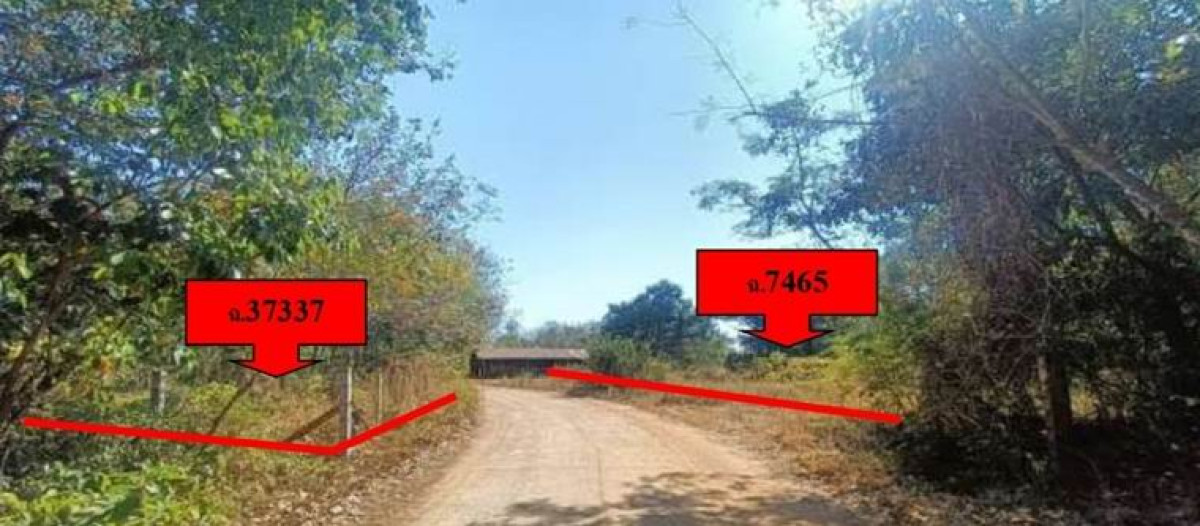 ที่ดินเปล่า อำนาจเจริญ หัวตะพาน จิกดู่ 306020