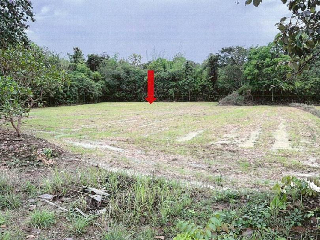 ที่ดินเปล่า อำนาจเจริญ หัวตะพาน เค็งใหญ่ 641080