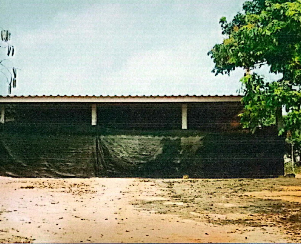 บ้านเดี่ยว ลำพูน ลี้ ศรีวิชัย 455200