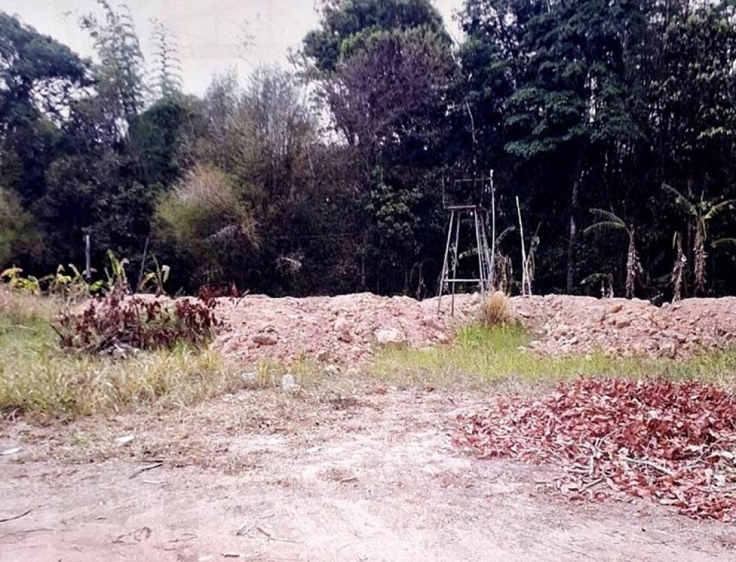 ที่ดินเปล่า อำนาจเจริญ ปทุมราชวงศา นาป่าแซง 55225