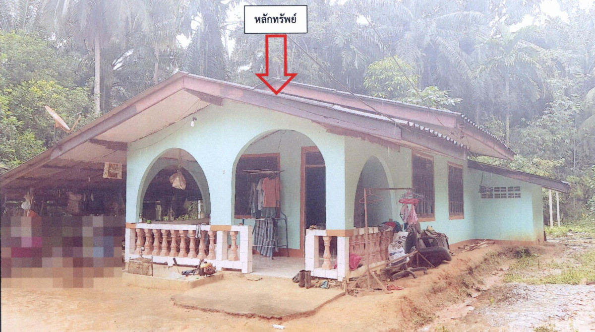 บ้านเดี่ยว สุราษฎร์ธานี ชัยบุรี คลองน้อย 1168490