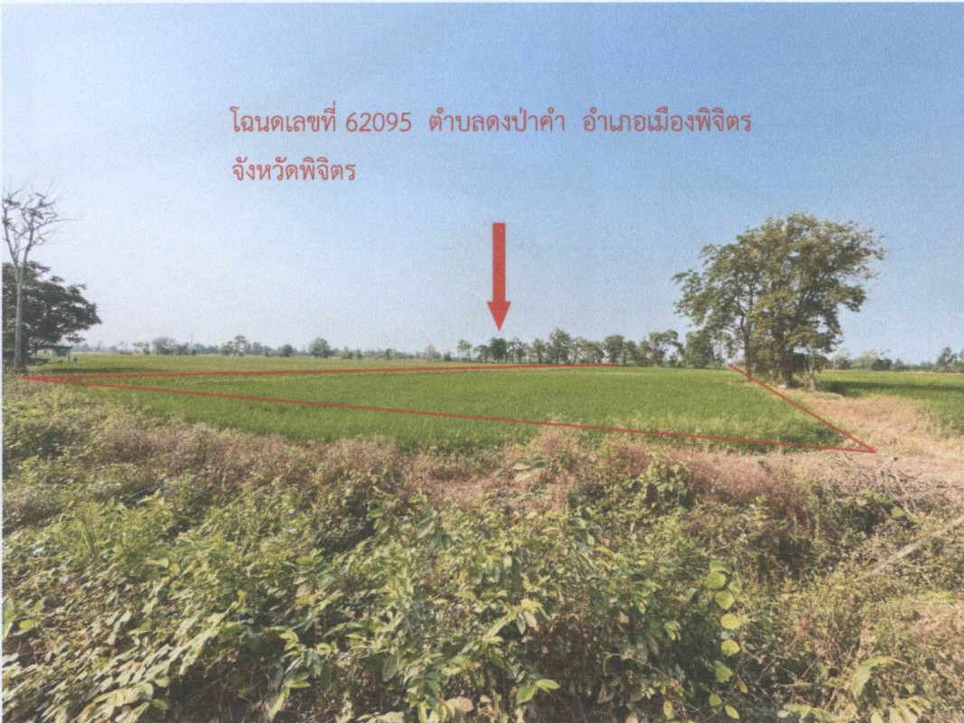 ที่ดินเปล่า พิจิตร เมืองพิจิตร ดงป่าคำ 200000
