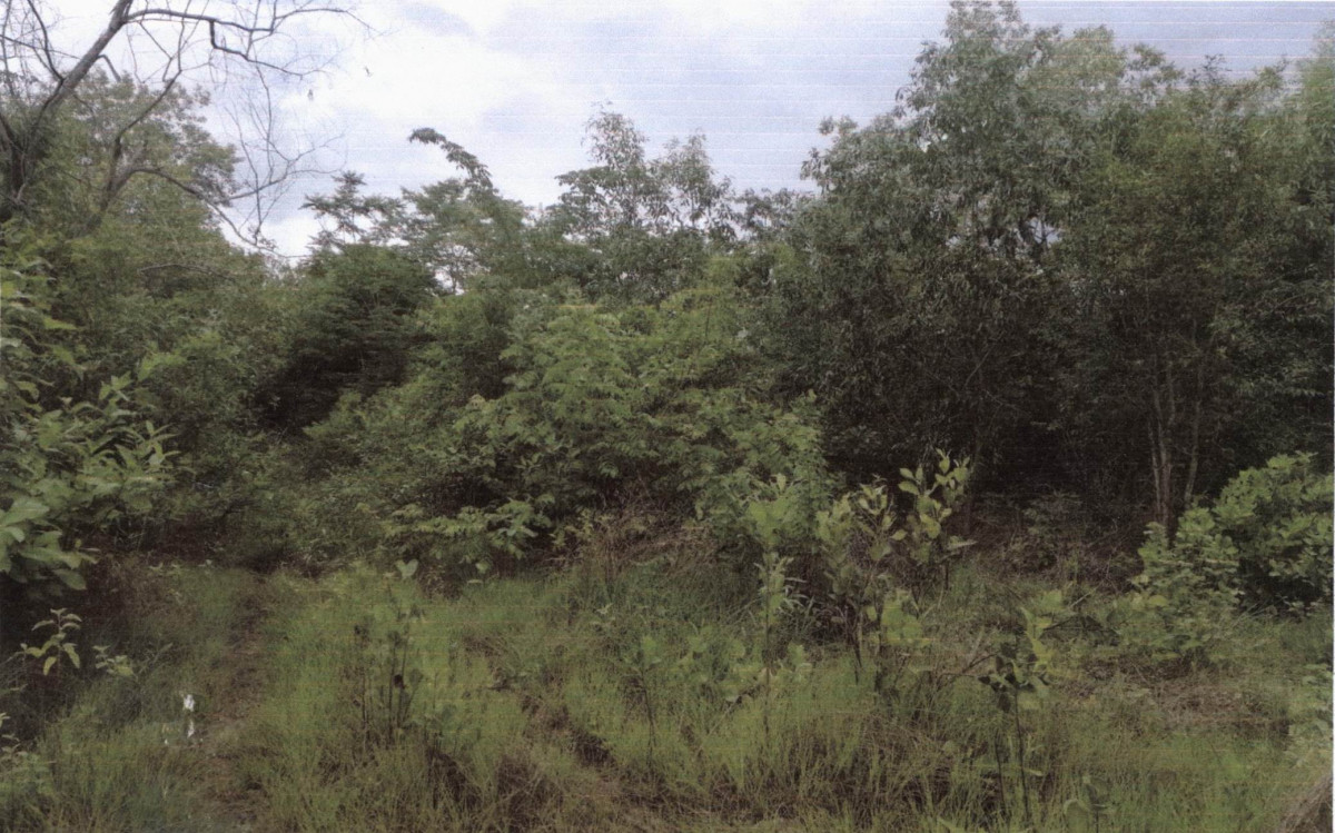 ที่ดินเปล่า เชียงใหม่ ฮอด หางดง 224000