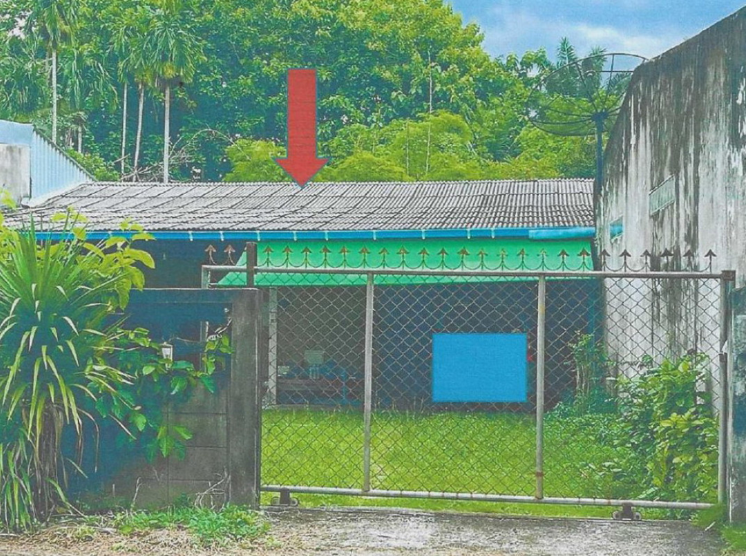 บ้านเดี่ยว สุราษฎร์ธานี บ้านนาสาร พรุพี 876650