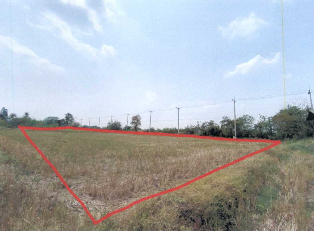 ที่ดินเปล่า สุพรรณบุรี สามชุก ย่านยาว 9828000