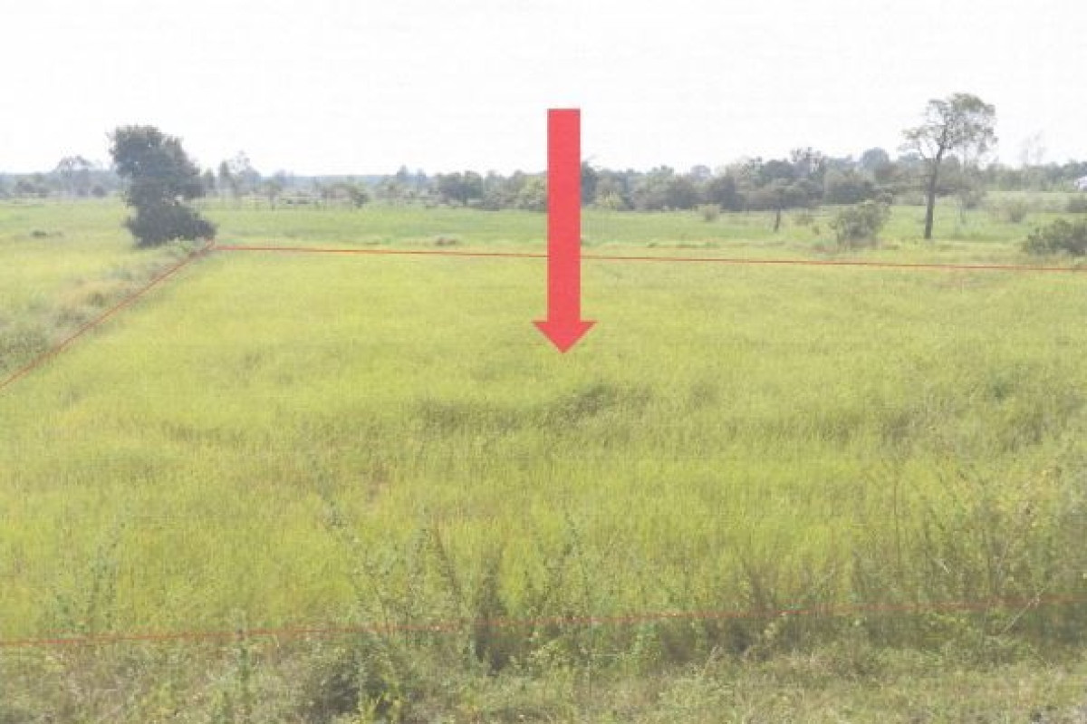 ที่ดินเปล่า ร้อยเอ็ด โพนทอง วังสามัคคี 100000