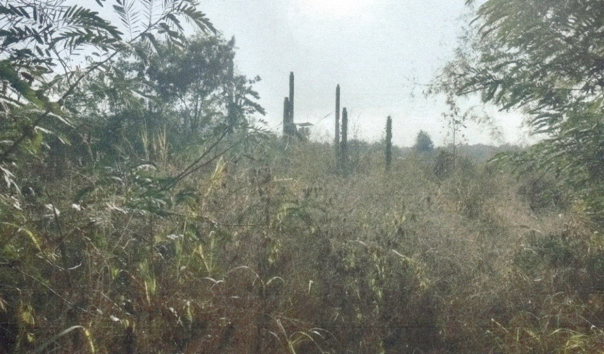 ที่ดินเปล่า เลย วังสะพุง ปากปวน 110840