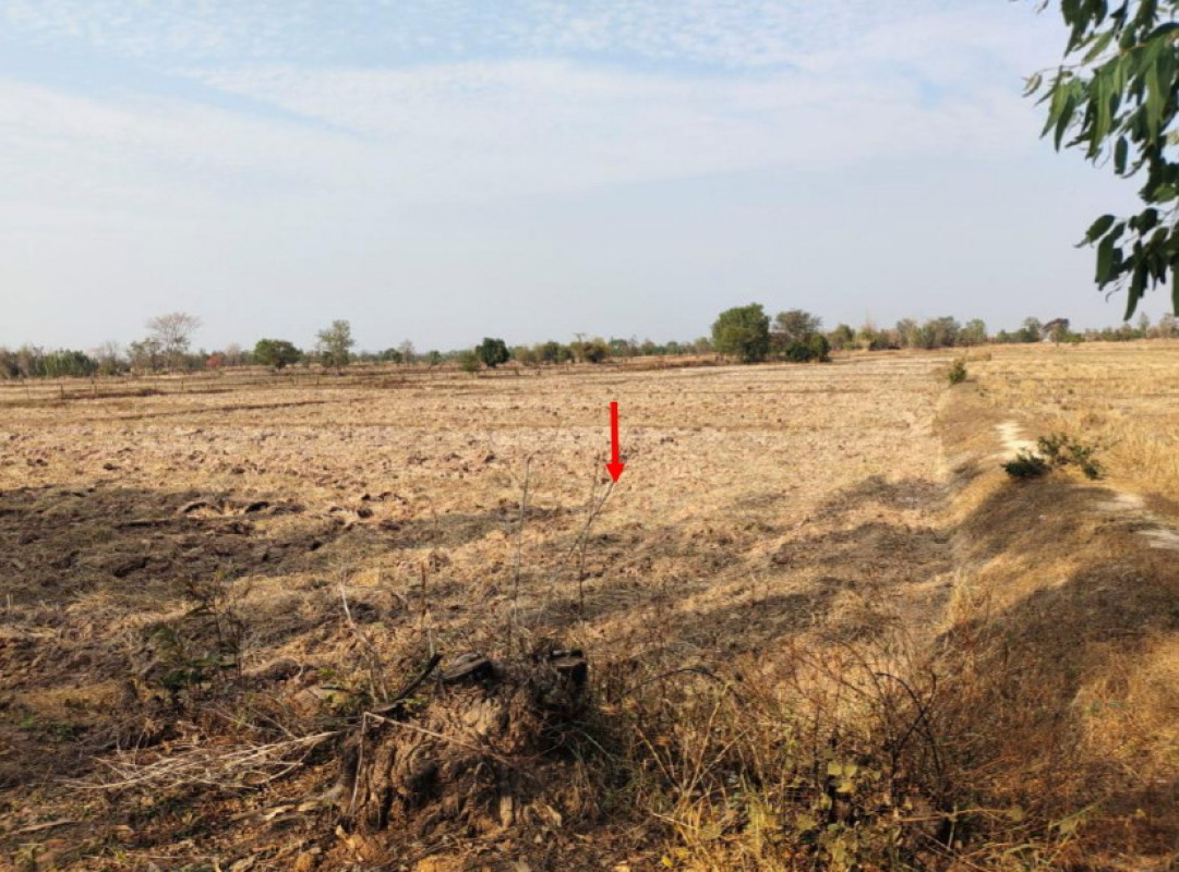 ที่ดินเปล่า อำนาจเจริญ เมืองอำนาจเจริญ นาแต้ 358722