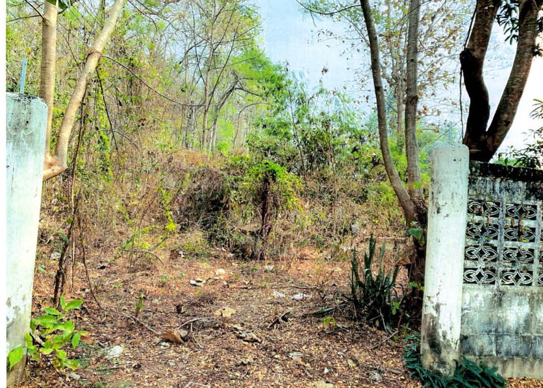 ที่ดินเปล่า ลำปาง ห้างฉัตร ห้างฉัตร 33345