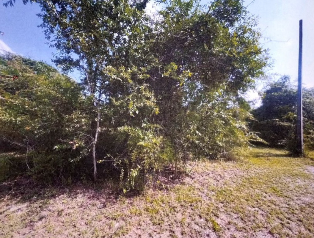 ที่ดินเปล่า นครราชสีมา ปักธงชัย ธงชัยเหนือ 70000