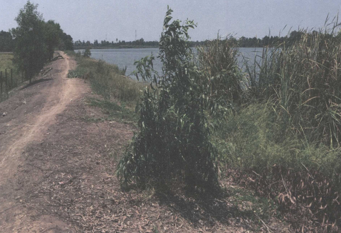 ที่ดินเปล่า ปทุมธานี สามโคก คลองควาย 26288000