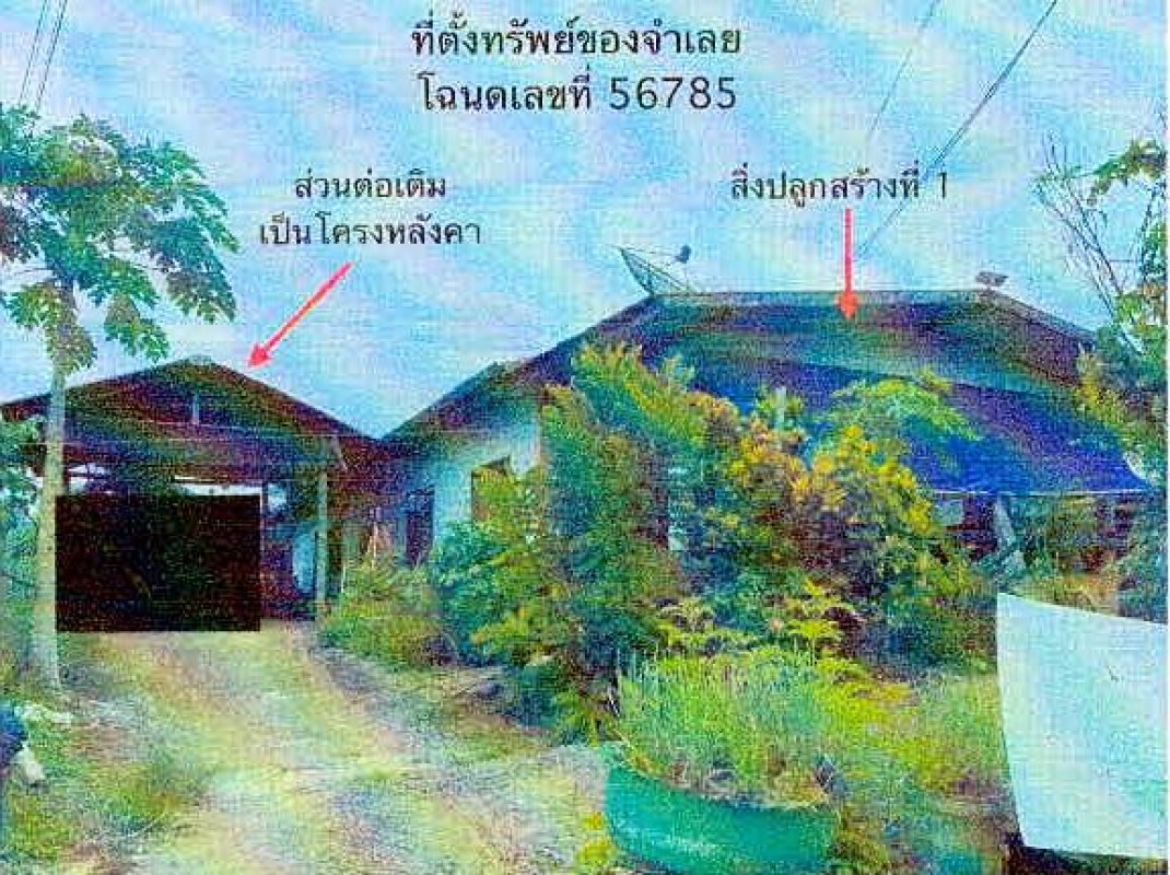 บ้านเดี่ยว เลย เมืองเลย ศรีสองรัก 497516