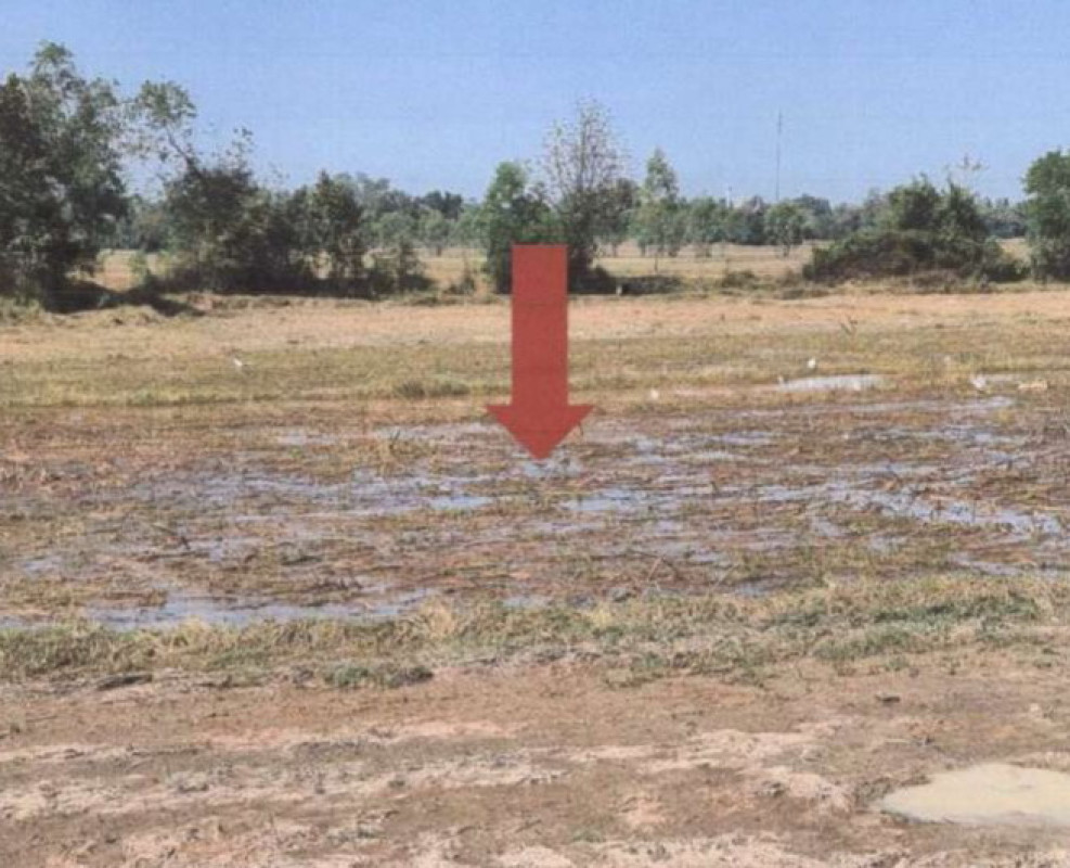 ที่ดินเปล่า บุรีรัมย์ นางรอง ชุมแสง 74630