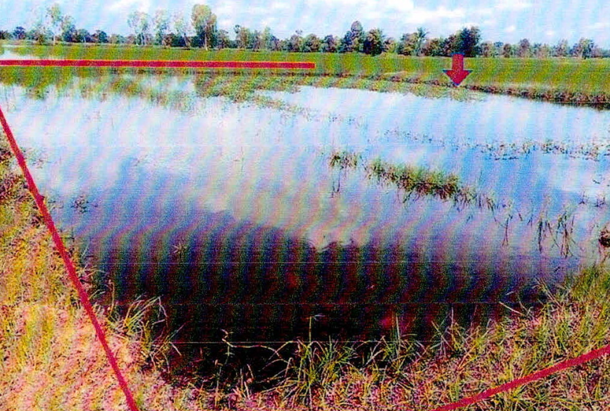 ที่ดินเปล่า ศรีสะเกษ กันทรลักษ์ ละลาย 91812