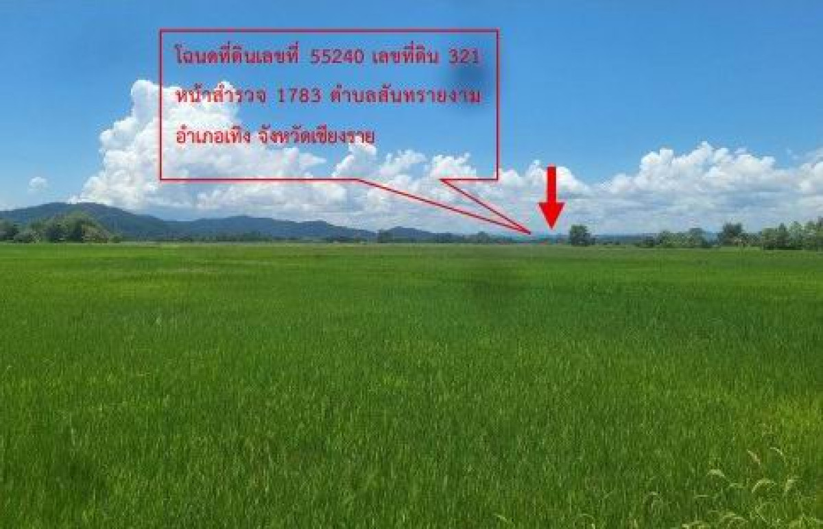 ที่ดินเปล่า เชียงราย เทิง สันทรายงาม 224400