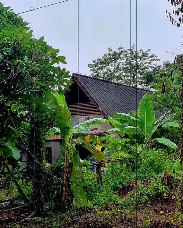 บ้านเดี่ยว เลย วังสะพุง วังสะพุง 369600