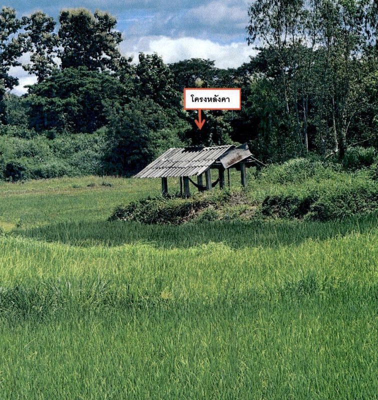 บ้านเดี่ยว ลำปาง แม่ทะ สันดอนแก้ว 264535