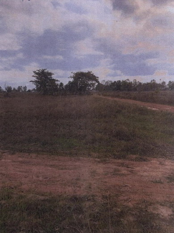 ที่ดินเปล่า สกลนคร สว่างแดนดิน สว่างแดนดิน 40000