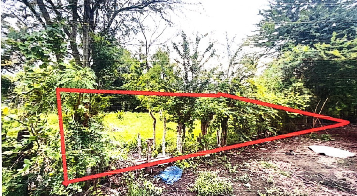 ที่ดินเปล่า นครราชสีมา พระทองคำ สระพระ 26660