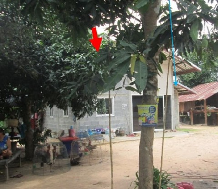 บ้านเดี่ยว อำนาจเจริญ หัวตะพาน รัตนวารี 342268