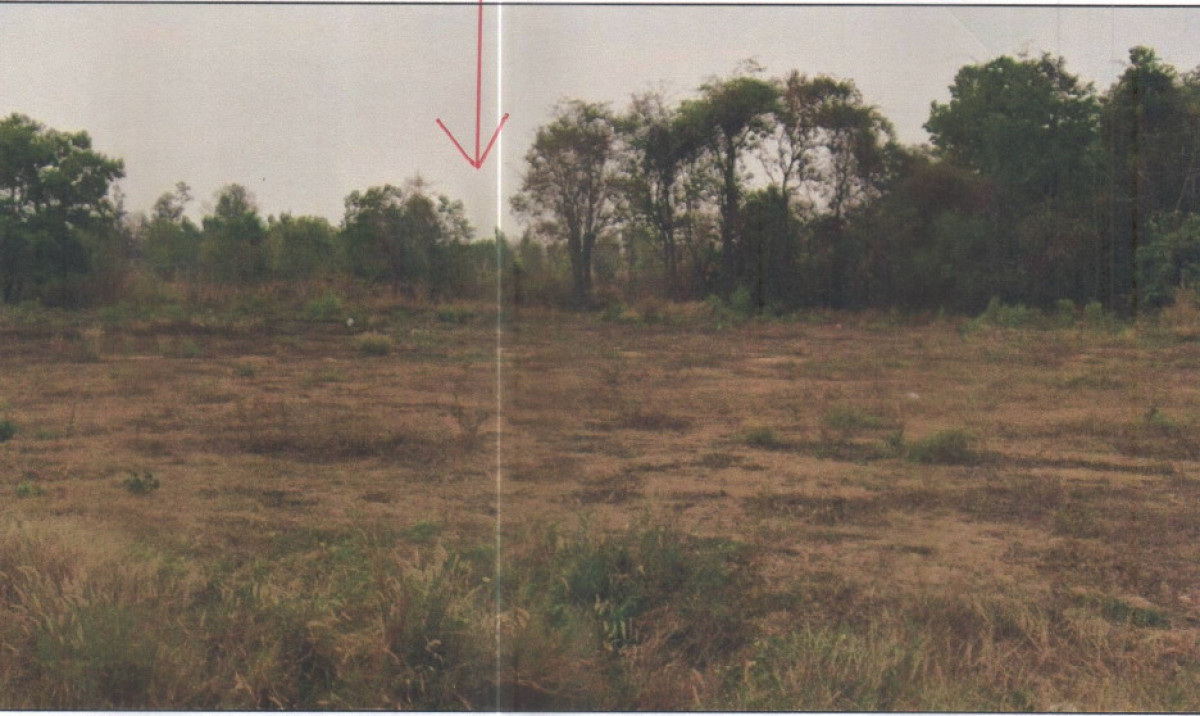 ที่ดินเปล่า อำนาจเจริญ เมืองอำนาจเจริญ สร้างนกทา 65010