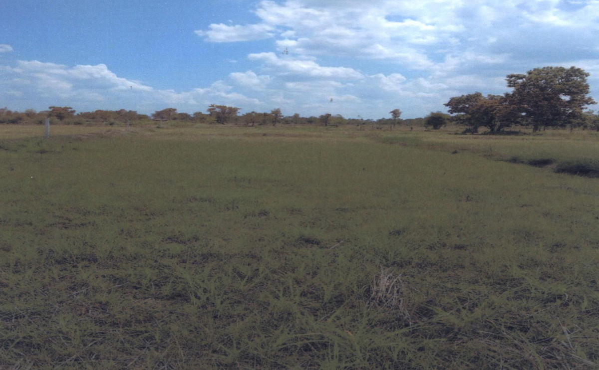 ที่ดินเปล่า สกลนคร สว่างแดนดิน สว่างแดนดิน 67925