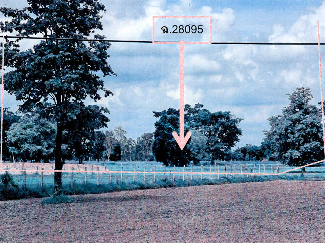 ที่ดินเปล่า สุรินทร์ ศีขรภูมิ ช่างปี่ 2103400