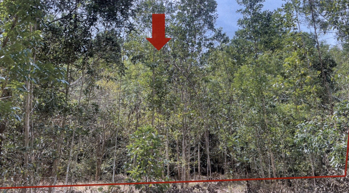 ที่ดินเปล่า สงขลา เทพา เทพา 1028600