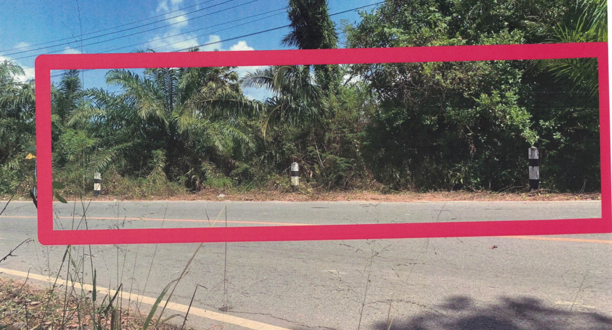 ที่ดินเปล่า สุราษฎร์ธานี กาญจนดิษฐ์ ช้างขวา 822000