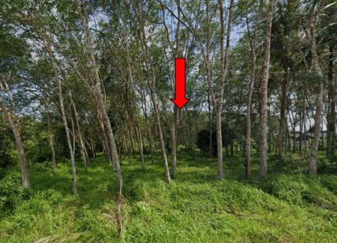 ที่ดินเปล่า สงขลา สะบ้าย้อย สะบ้าย้อย 5276340