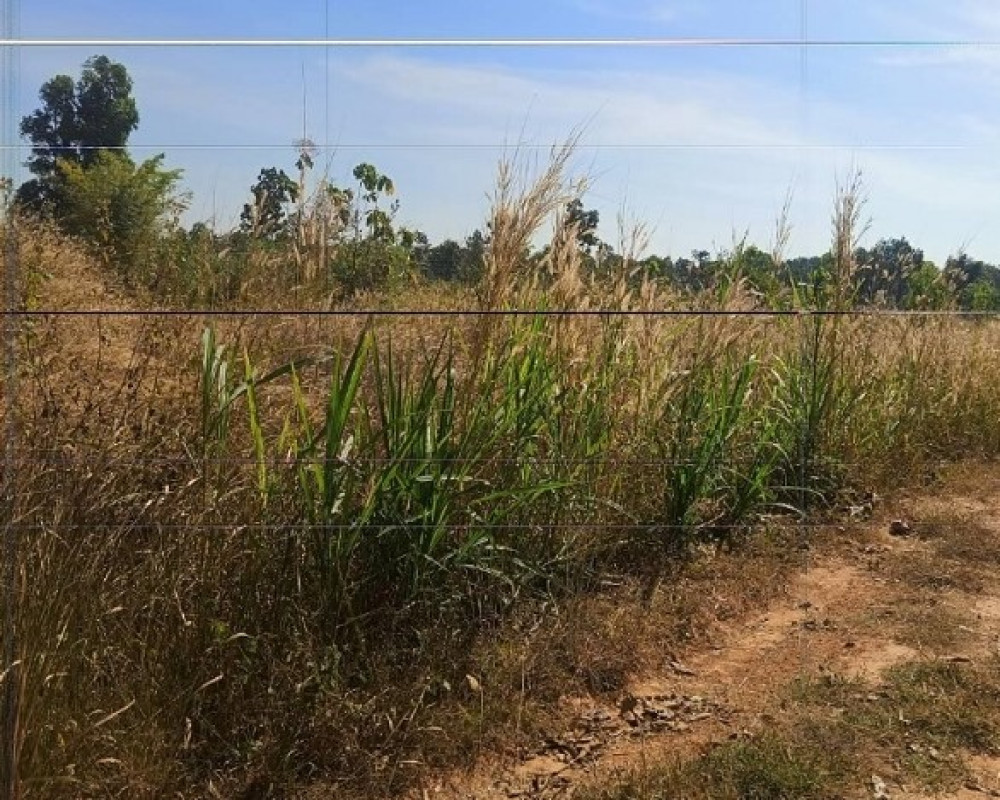 ที่ดินเปล่า อำนาจเจริญ เมืองอำนาจเจริญ กุดปลาดุก 201360