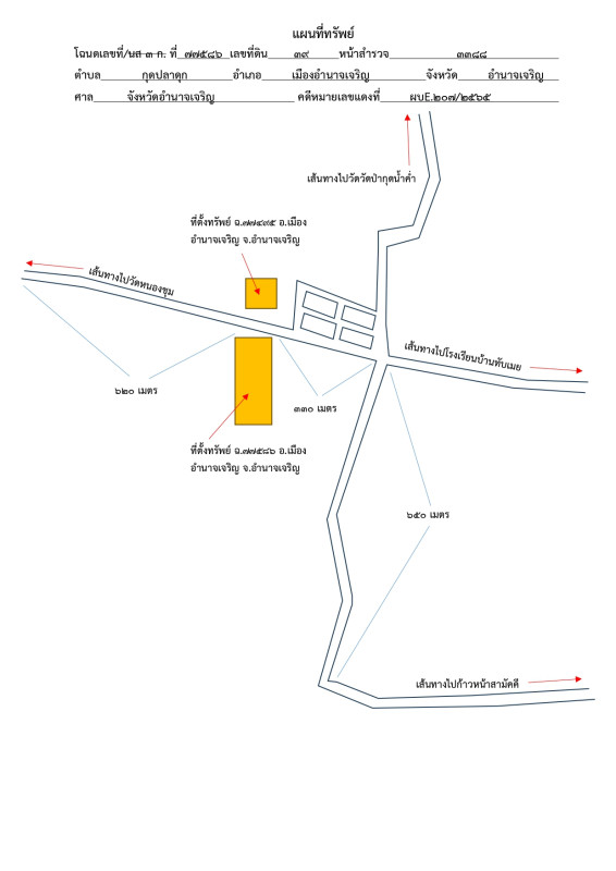 ที่ดินเปล่า อำนาจเจริญ เมืองอำนาจเจริญ กุดปลาดุก 201360