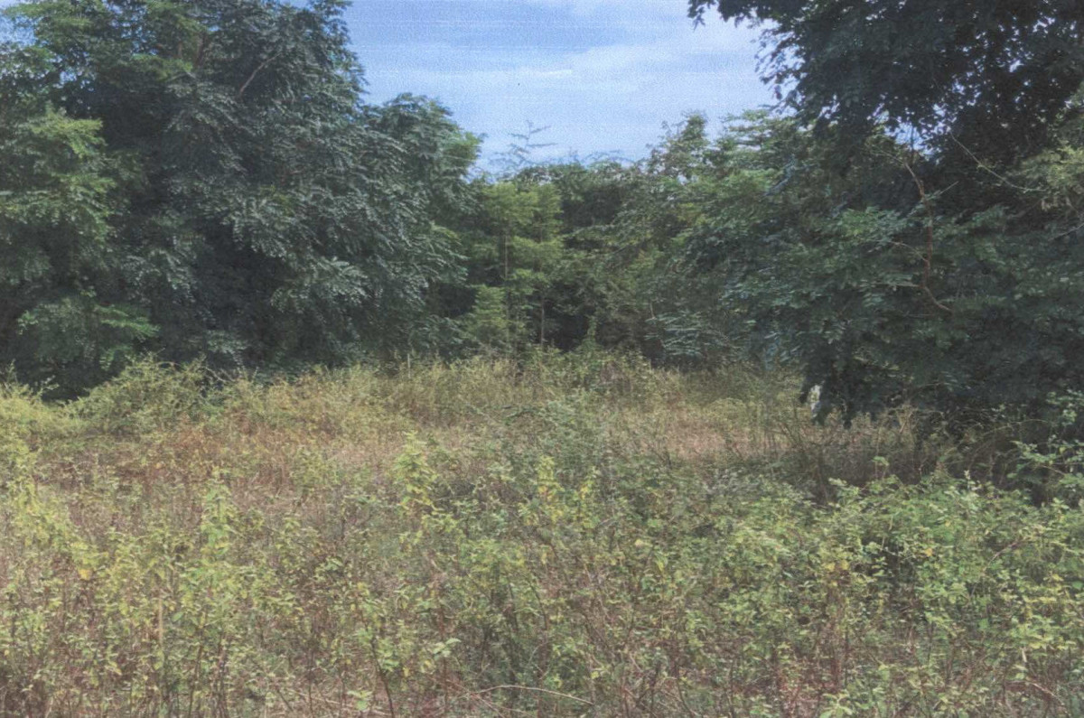 ที่ดินเปล่า นครราชสีมา ปักธงชัย ตะคุ 30000