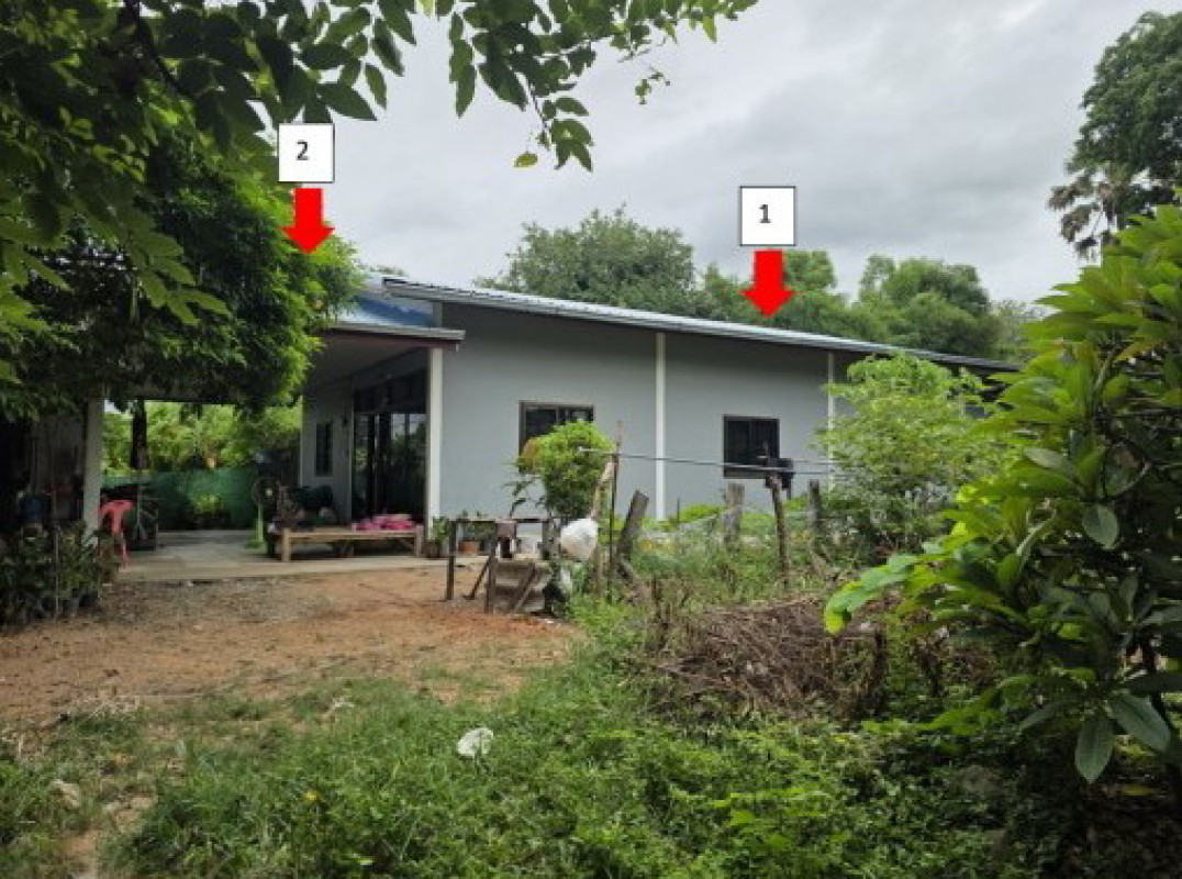 บ้านเดี่ยว นครราชสีมา บัวใหญ่ บัวใหญ่ 537190