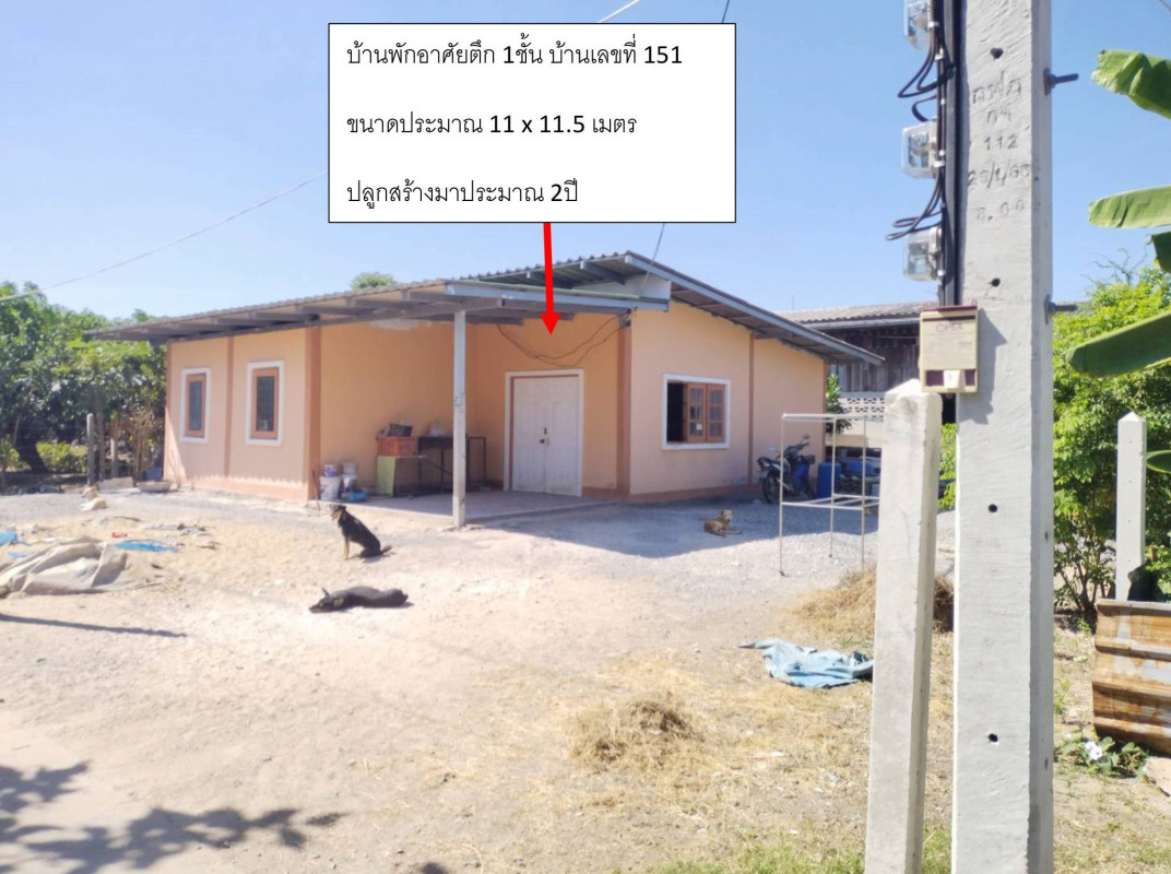 บ้านเดี่ยว สุพรรณบุรี เมืองสุพรรณบุรี สนามคลี 1118033