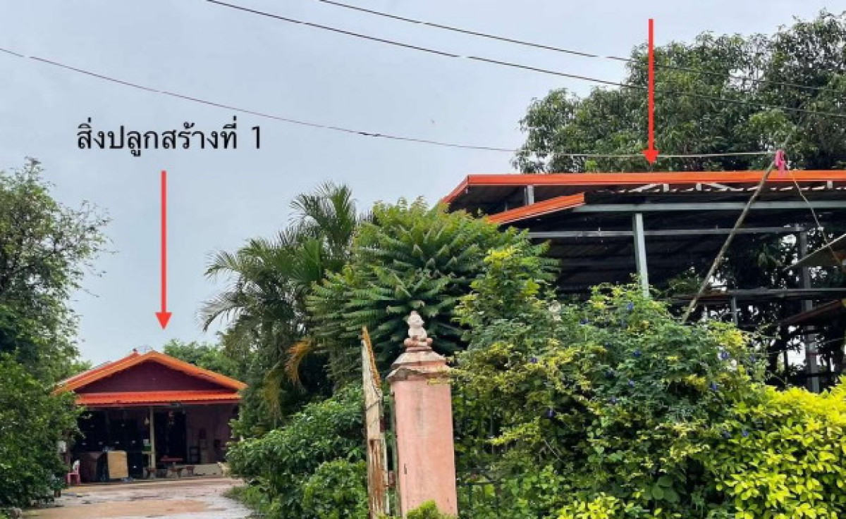 บ้านเดี่ยว อุดรธานี โนนสะอาด บุ่งแก้ว 1062750