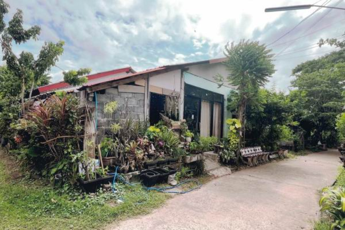 ทาวน์เฮ้าส์ ร้อยเอ็ด สุวรรณภูมิ สระคู 487200