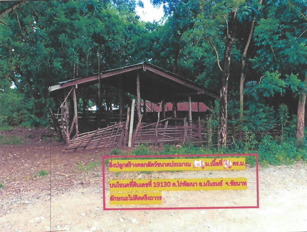 บ้านเดี่ยว ชัยนาท มโนรมย์ ไร่พัฒนา 611495