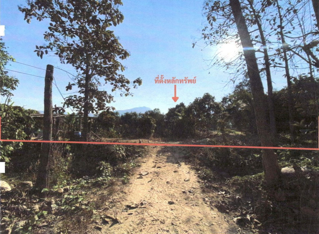 ที่ดินเปล่า น่าน บ้านหลวง บ้านฟ้า 331100