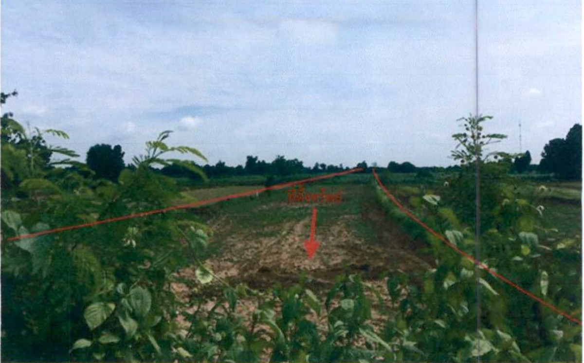 ที่ดินเปล่า บุรีรัมย์ หนองหงส์ เสาเดียว 735630