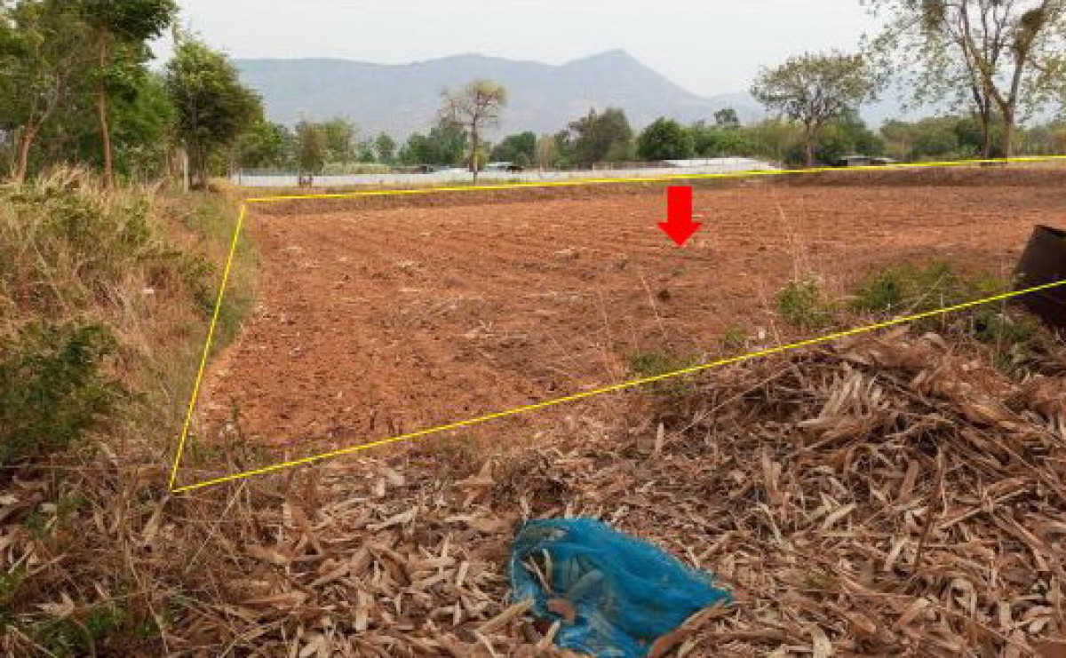 ที่ดินเปล่า ชัยภูมิ เกษตรสมบูรณ์ โนนกอก 245388