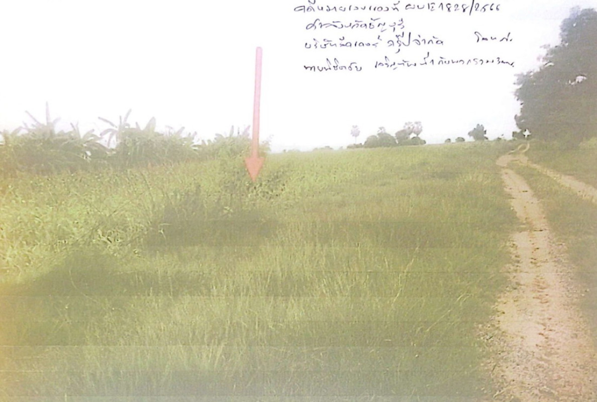 ที่ดินเปล่า นครราชสีมา ขามทะเลสอ บึงอ้อ 24000