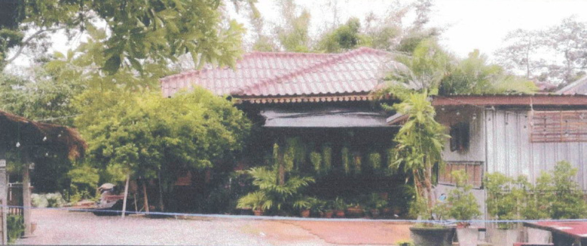 บ้านเดี่ยว นครราชสีมา โนนสูง ใหม่ 2235305